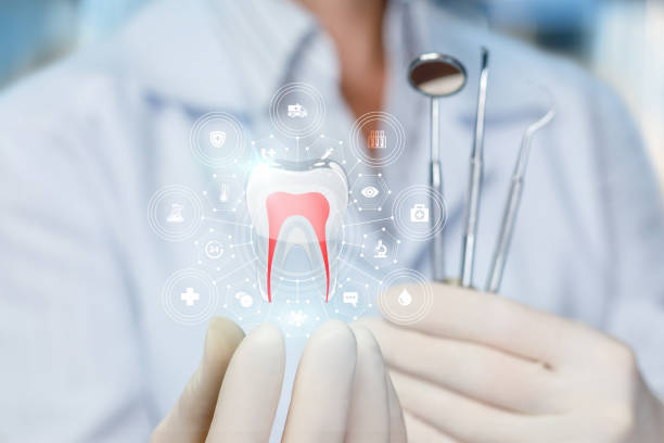 Best Traditional Braces  in Chester Gap, VA